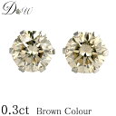 PT ダイヤモンドピアス 0.3ct (トータ