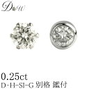 別格 PT ダイヤモンドピアス 0.25ct 片耳用 D ～ Gカラー SI2クラス GOODカット ソーティング ( 鑑定書 の元) 付 プラチナ 6本爪 フクリン ふせこみ ベゼル ダイヤピアス カラット スタッド 一粒 シンプル アレルギーフリー ジュエリー 30代 40代 50代