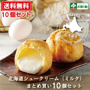 送料無料 "北海道 シュークリーム (ミルク)10個 セット " まとめ買い 限定 シュークリーム 訳あり sale 冷凍 お菓子 業務用 ギフト 出産祝い 内祝い 結婚祝い 出産内祝い おやつ アイス 北海道 日本製 業務用 母の日 父の日 お礼 北海道産 スイーツ