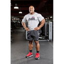 Schiek シーク ドライTシャツ グレー イエロー ブルー ダークグレー 筋トレ ウェイトトレーニングに! バルクアップ 筋肉増量 減量 ボディメイク フィジーク ボディビル