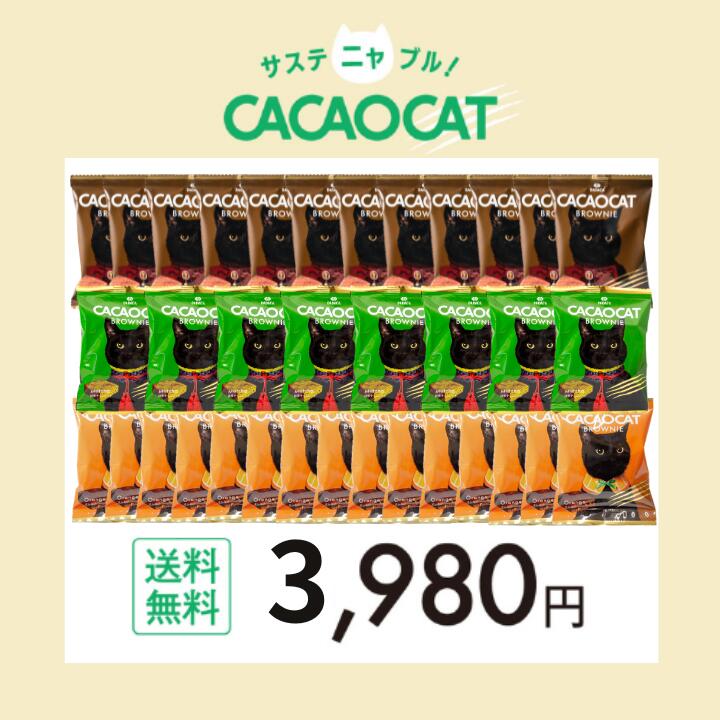 樂天商城 - DADACA 公式 サスティニャブル【お試し価格】CACAOCAT BROWNIE 35個セット《送料無料》 濃厚チョコレート ブラウニー スイーツ 猫 かわいい ご褒美 プレゼント 北海道 お土産 手土産 洋菓子 焼き菓子 黒猫 お中元