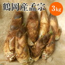 【JA鶴岡 公式】【送料無料】朝掘り たけのこ 鶴岡産孟宗 3kg 筍 孟宗竹 産地直送 国産 タケ