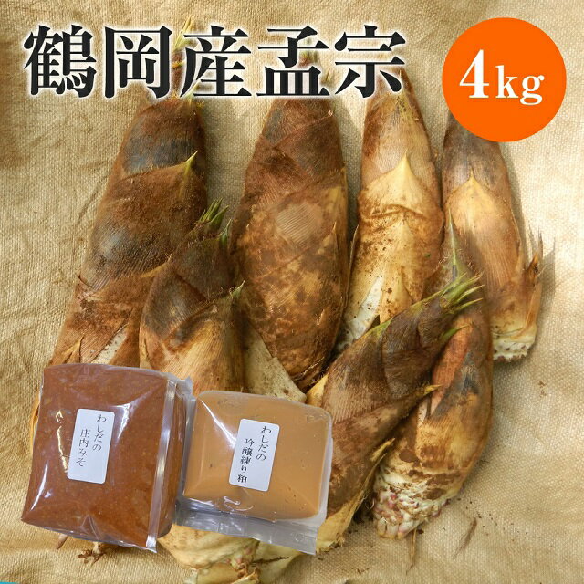 【JA鶴岡 公式】【送料無料】［酒粕・味噌付］朝掘り たけのこ 鶴岡産孟宗 4kg 筍 孟宗竹 産地直送 国産 タケノコ 生 山形 山形県 鶴岡市 孟宗 味噌500g+酒粕300g 孟宗汁 味噌 酒粕【5月上旬〜順次発送】