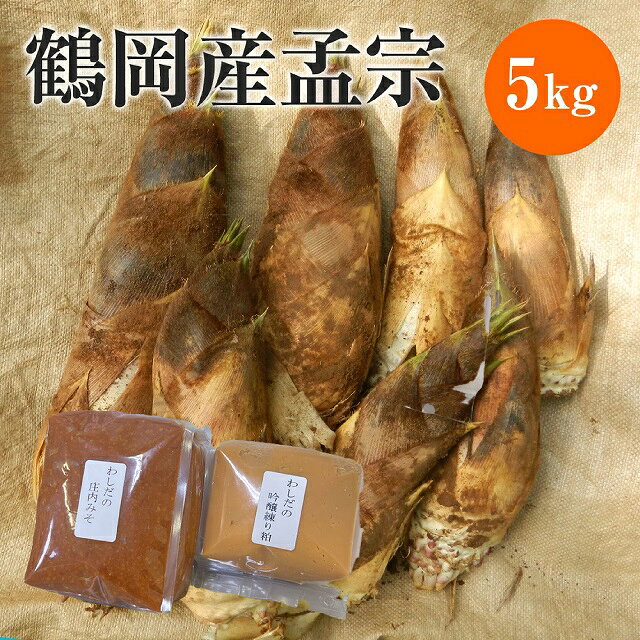 【JA鶴岡 公式】【送料無料】［酒粕・味噌付］朝掘り たけのこ 鶴岡産孟宗 5kg 筍 孟宗竹 産地直送 国産 タケノコ 生 山形 山形県 鶴岡市 孟宗 味噌500g+酒粕300g 孟宗汁 味噌 酒粕【5月上旬〜順次発送】