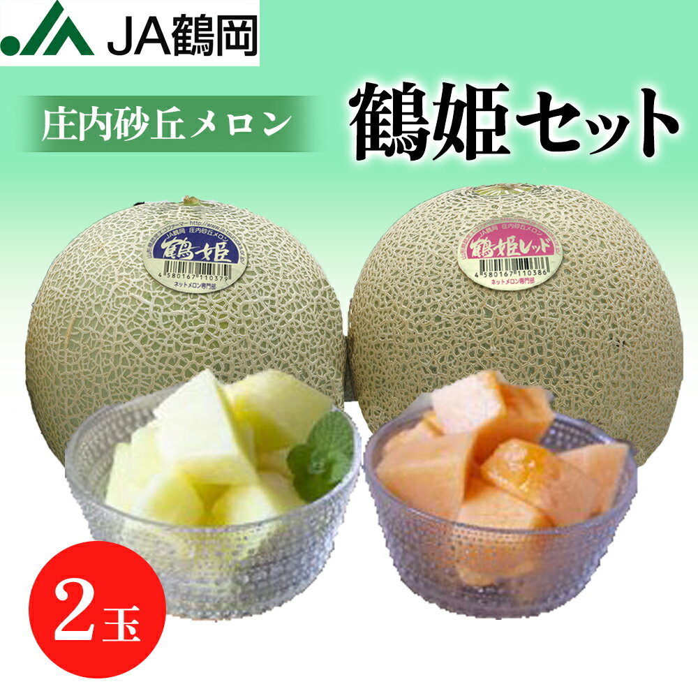 メロン 【早期予約受付中！】【JA鶴岡 公式】【送料無料】鶴姫セット( 2玉 ） メロン 庄内砂丘 国産 山形県 鶴岡産 お中元 ギフト【 7月上旬頃発送】