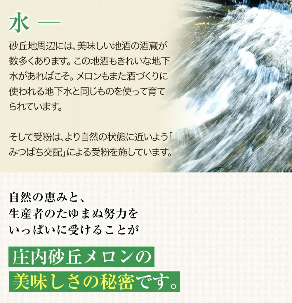 【早期予約受付中！】【JA鶴岡 公式】【送料無料】アンデスメロン 4～5玉 メロン ...