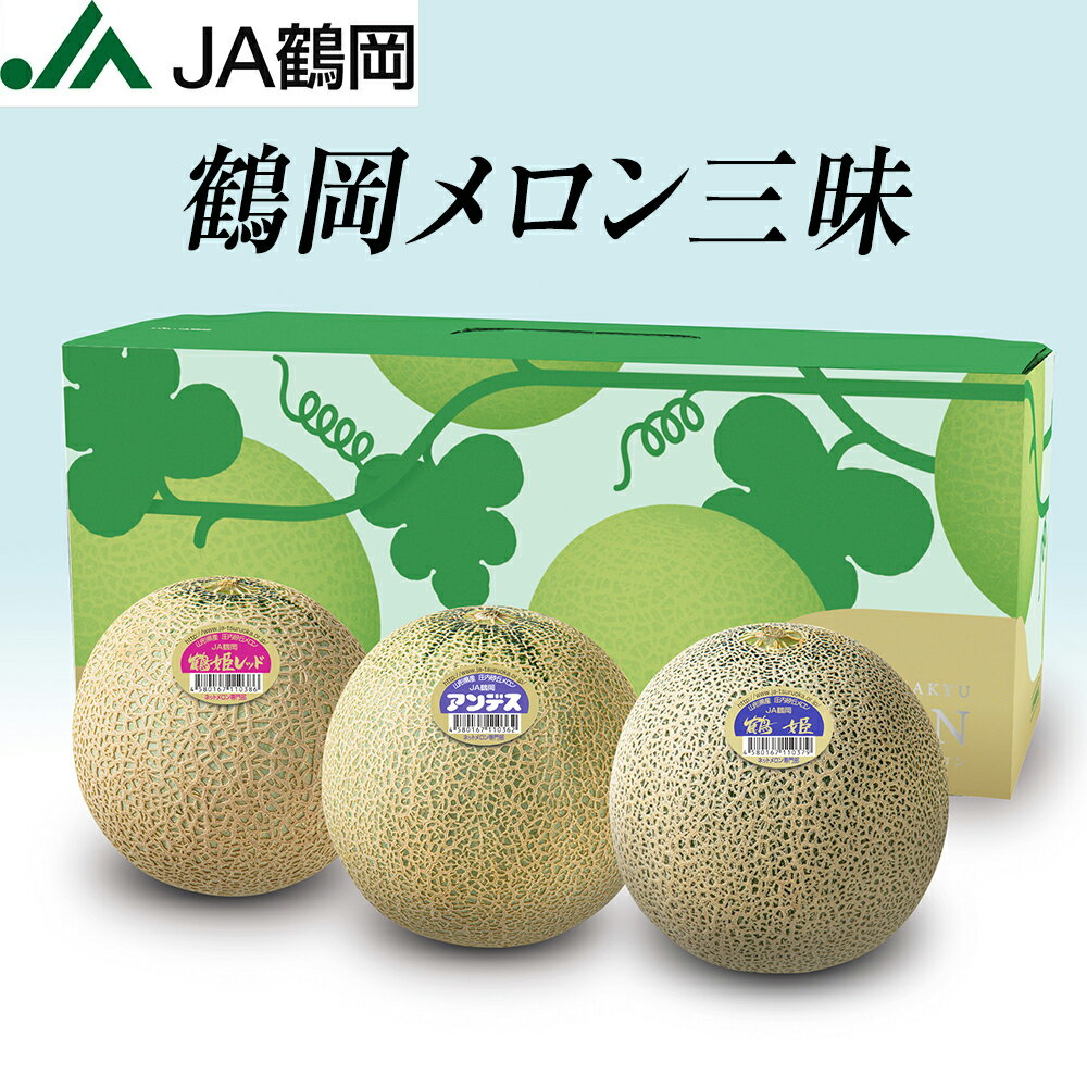 メロン 【早期予約受付中！】【JA鶴岡 公式】【送料無料】鶴岡メロン三昧 3玉セット 庄内砂丘メロン メロン 山形県 鶴岡産 庄内砂丘 アンデスメロン 鶴姫レッドメロン 食べ比べ お中元 ギフト 7月以降順次発送