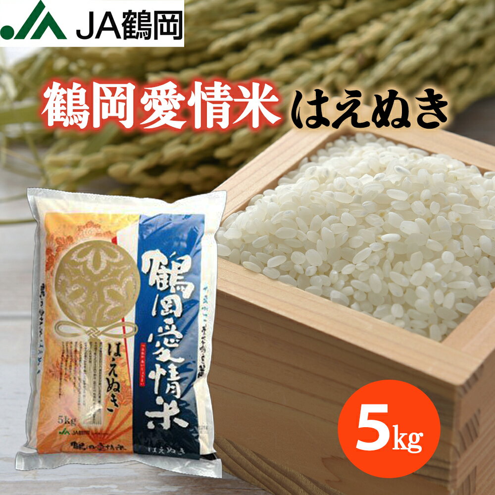 令和5年産 鶴岡愛情米 はえぬき 5kg お米 米 山形 庄内 山形県産 白米 国内産 国産 庄内米