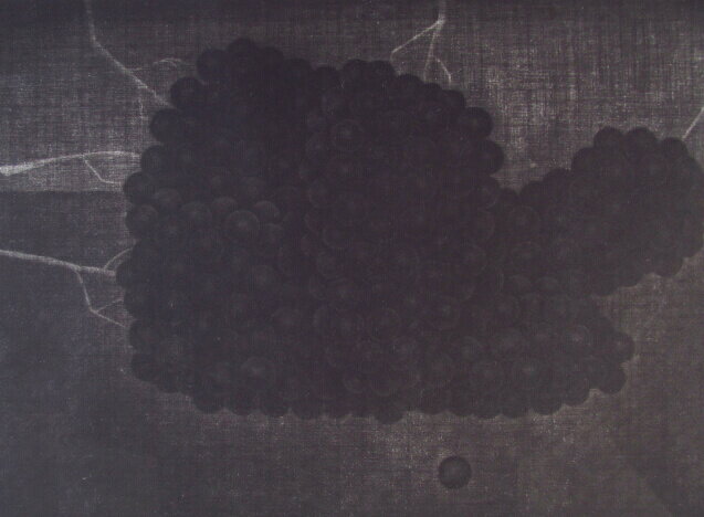 �͸��ۻ� �����Ȥ֤ɤ� �᥾����� 1959ǯ