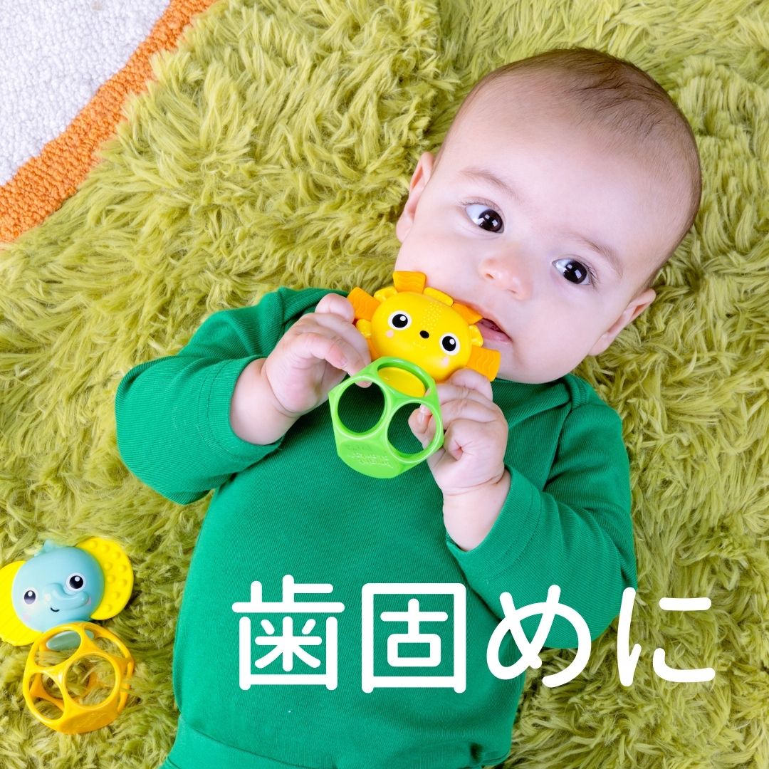 ダディッコ ベビーキッズセレクトのオーボール 歯固め ボール ライオン＆エレファント2個セット アップル パイナップル 1個 パパジーノ 赤ちゃん ベビー おもちゃ キッズツー カラフル あみあみ 男の子 女の子 0歳 3ヶ月 4ヶ月 5ヶ月 6ヶ月 新生児 プレゼント 出産祝い 知育玩具 おしゃれ 可愛い 人気 送料無料｜アングル3