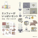 miffy ミッフィー フラッフィー miffyミッフィーがいっぱいセット | ミッフィー プレゼント うさぎ ブルー ピンク スナッフィー (WNG)