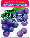 チャック付き グレープフーセンガム47g（10袋入）　　　{だがし　駄菓子　だがし屋　駄菓子屋　ガム　フーセンガム　マーブルガム｝