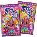 【杉本屋製菓】まけんグミ〈グレープ味〉(20個入) {駄菓子 だがし屋 大人買い なつかし}