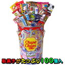 【送料無料】【期間限定】【数量限定】チュッパチャプス缶にたっぷり 駄菓子100点 詰合せ