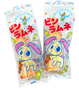 【送料無料】【岡田商店】ビンラムネ(20個入×2ケース)
