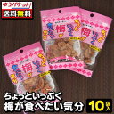 【ゆうパケット便】【送料無料】【一栄食品】ちょっといっぷく梅が食べたい気分〈バニラ味〉10g×10袋