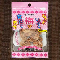 【一栄食品】ちょっといっぷく梅が食べたい気分〈バニラ味〉10g（10袋入）