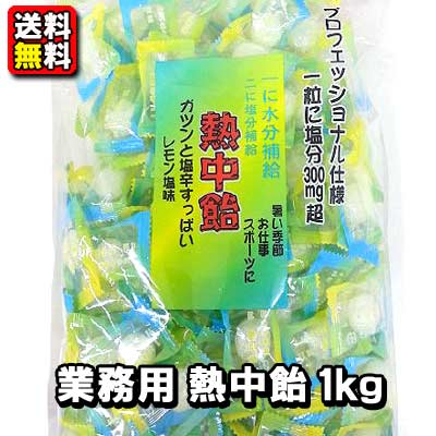 【送料無料】井関食品　業務用 熱中飴 1kg　　　　　　　　　　｛熱中症対策　熱中症予防　塩分補給　仕事　工場　現場　スポーツ　運動　夏　猛暑｝