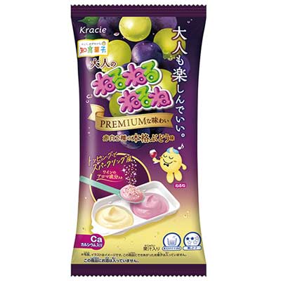 【クラシエ】大人のねるねるねるね（10個入）　　　　　　　　｛知育菓子　作るお菓子　つくるおかし｝