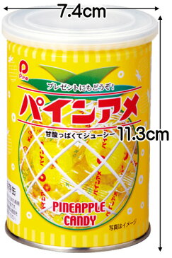 ★単品販売★【パイン】パインアメ缶90g {駄菓子 お菓子 あめ キャンディ 景品 お土産 プレゼント バレンタイン ホワイトディ クリスマス 非常食 防災の日}