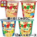 【送料無料】【選べる】【カルビー】じゃがりこ　12個×4ケース