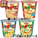 【送料無料】【選べる】【カルビー】じゃがりこ　12個×6ケース