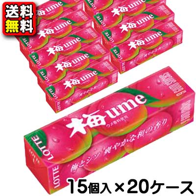 【送料無料】【まとめ買い】【ロッテ】梅ガム9枚入　15個×20ケース