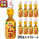 【送料無料】【ハタ鉱泉】瓶ラムネ〈オレンジ味〉 200ml(30本入) {お祭り 夏祭り 催事 イベント ドリンク 景品 子供会 昔なつかし ビー玉入り 銭湯}