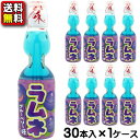【送料無料】【ハタ鉱泉】瓶ラムネ〈ブルーベリー味〉 200ml(30本入) {お祭り 夏祭り 催事 イベント ドリンク 景品 子供会 昔なつかし ビー玉入り 銭湯}