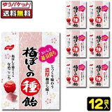 【ゆうパケット便】【送料無料】【ノーベル製菓】梅ぼしの種飴コンパクトパック20g×12袋