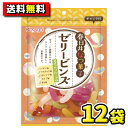 【送料無料】【春日井製菓】ゼリービンズ101g(12袋入)