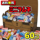 【送料無料】オリオン ミニラムネ 60個詰合せ 宝箱ギフト {駄菓子 だがし お菓子 ミニコーラ ミニビタ ミニサワー お祭り プレゼント ホームパーティ 縁日}
