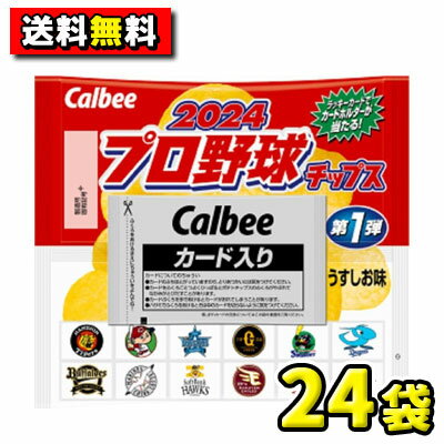 【送料無料】カルビー　2024プロ野球チップス22g 第1弾（24袋入）の商品画像