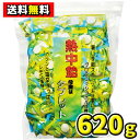 【送料無料】井関食品 業務用 熱中飴タブレット620g