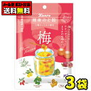 【ポスト投函メール便】【全国送料無料】カンロ 健康のど飴 梅90g(3袋)