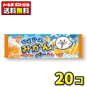 【ポスト投函・メール便】【全国送料無料】丸川製菓 ひえひえみかんバーガム(20個)