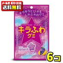 【ポスト投函メール便】【送料無料】ノーベル製菓 キラふわグミ グレープ味50g(6袋)