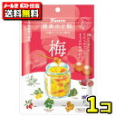 【ポスト投函メール便】【送料無料】カンロ 健康のど飴 梅90g(1袋)