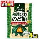 【ポスト投函メール便】【送料無料】カンロ ノンシュガー和漢びわのど飴80g(4袋)