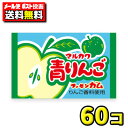 【ポスト投函メール便】【送料無料】丸川製菓 青りんごガム(55+5個)