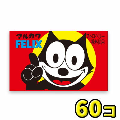 【丸川製菓】フィリックスガム（55+5個入）