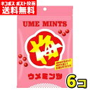 【ネコポス ポスト投函】【送料無料】オリオン ウメミンツ23g(6袋)