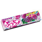 【UHA味覚糖】ぷっちょスティック〈めっちゃスッキリぶどう〉(10個入)