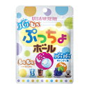【UHA味覚糖】ぷっちょボール 50g（6袋入）