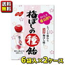 【送料無料】【ノーベル製菓】30g 梅ぼしの種飴(6袋入×2ケース)