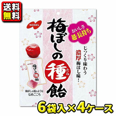 【送料無料】【ノーベル製菓】30g 梅ぼしの種飴（6袋入×4ケース）