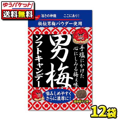 明治チューインガム ガブリチュウ グレープ味 20個賞味期限2025/01