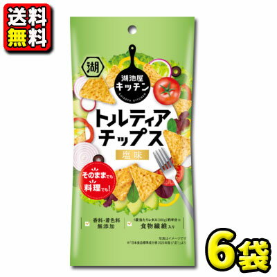 【送料無料】【湖池屋】［スリムバッグ］トルティアチップス 塩味40g（6袋入）