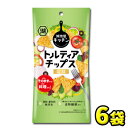 【湖池屋】［スリムバッグ］トルティアチップス 塩味40g（6袋入）