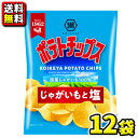 【送料無料】【湖池屋】ポテトチップス じゃがいもと塩60g(12袋入×1ケース)